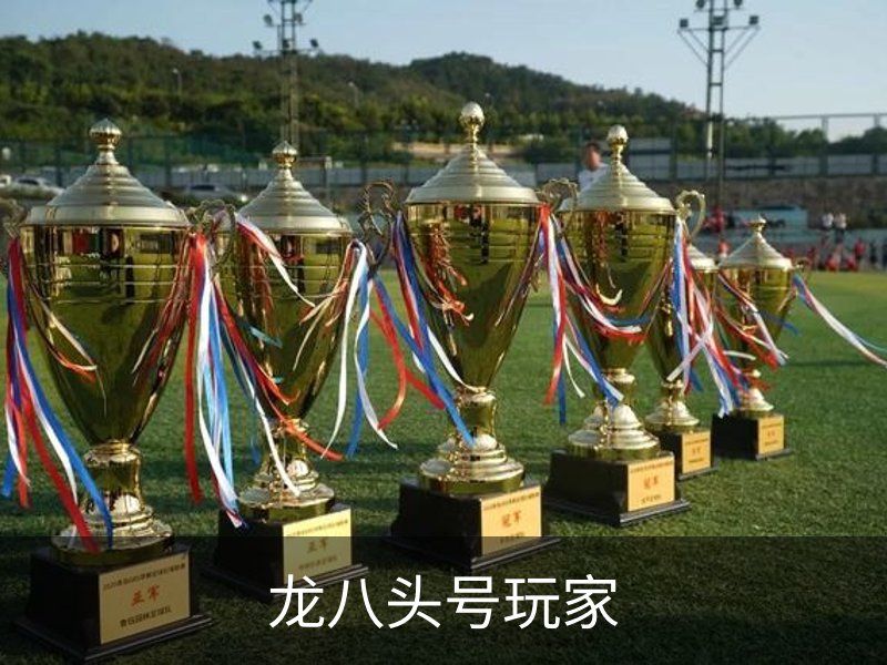 龙八头号玩家品牌故事